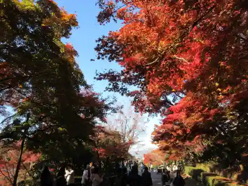 清水寺(京都府)