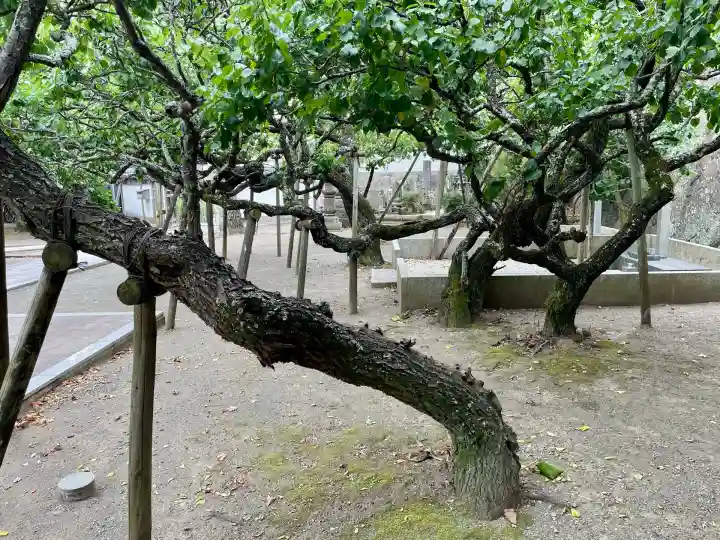 地福寺(神奈川県)