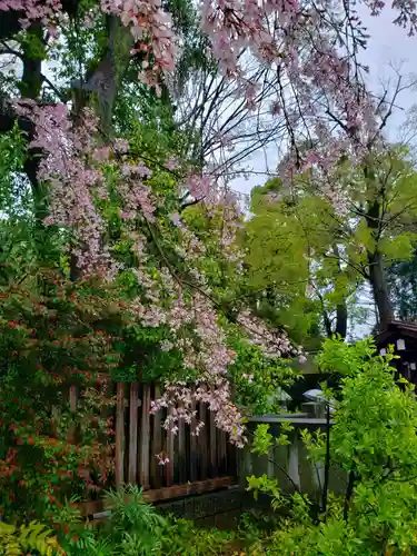 阿佐ヶ谷神明宮(東京都)