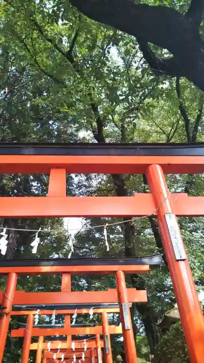尾曳稲荷神社の鳥居