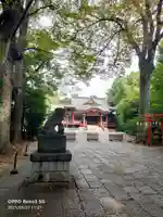 武蔵野八幡宮の狛犬