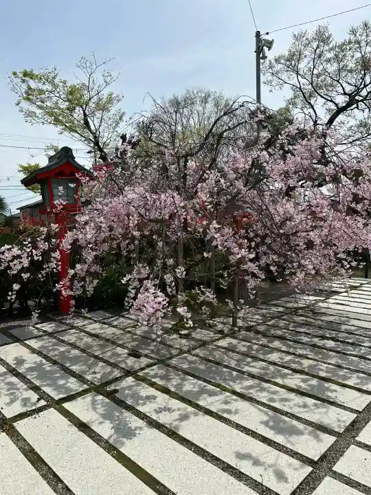 越中稲荷神社の{uncategorized: "未分類", other: "その他", undefined: "問題あり", building: "その他建物", grave: "お墓", sacred_gate: "鳥居", guardian: "狛犬", statue: "像", buddha: "仏像", history: "歴史", nature: "自然", garden: "庭園", animal: "動物", pagoda: "塔", temizu: "手水舎", mountain_gate: "山門・神門", sanctuary: "本殿・本堂", subordinate: "末社・摂社", art: "芸術", scenery: "景色", jizo: "地蔵", ema: "絵馬", goshuin: "御朱印", omikuji: "おみくじ", items: "授与品その他", amulet: "お守り", goshuincho: "御朱印帳", eats: "食事", festival: "お祭り", votive_dance: "神楽", shichigosan: "七五三参", wedding: "結婚式", experience: "体験その他", initially: "初詣", around: "周辺", anti_infection: "感染症対策"}