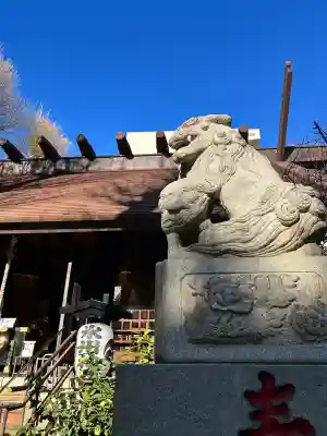高円寺氷川神社(東京都)