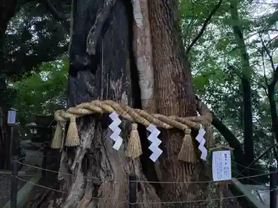 常陸國總社宮(茨城県)