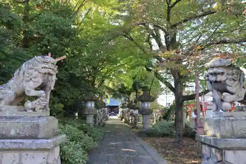 神炊館神社 ⁂奥州須賀川総鎮守⁂の狛犬