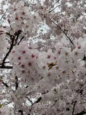 宝仙寺(東京都)