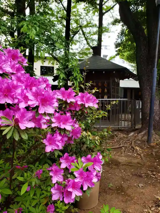 鳩森八幡神社(東京都)