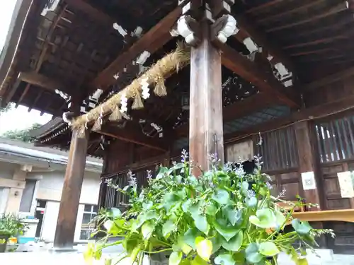 藤島神社（贈正一位新田義貞公之大宮）の建物その他