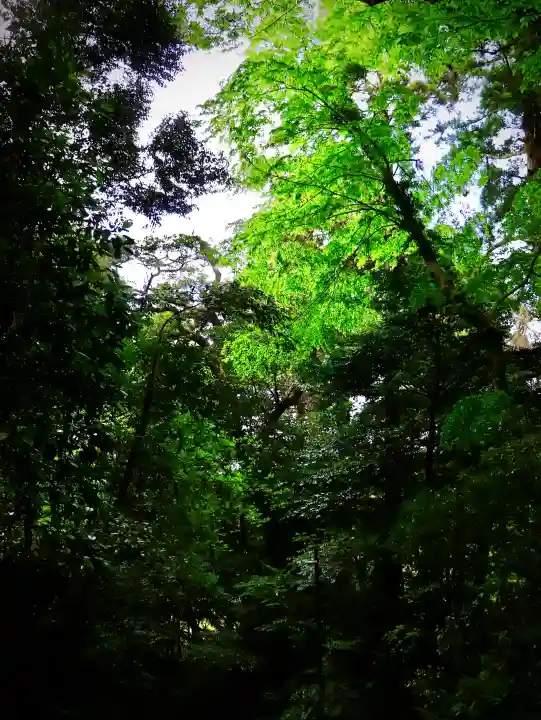 鹿島神宮の{uncategorized: "未分類", other: "その他", undefined: "問題あり", building: "その他建物", grave: "お墓", sacred_gate: "鳥居", guardian: "狛犬", statue: "像", buddha: "仏像", history: "歴史", nature: "自然", garden: "庭園", animal: "動物", pagoda: "塔", temizu: "手水舎", mountain_gate: "山門・神門", sanctuary: "本殿・本堂", subordinate: "末社・摂社", art: "芸術", scenery: "景色", jizo: "地蔵", ema: "絵馬", goshuin: "御朱印", omikuji: "おみくじ", items: "授与品その他", amulet: "お守り", goshuincho: "御朱印帳", eats: "食事", festival: "お祭り", votive_dance: "神楽", shichigosan: "七五三参", wedding: "結婚式", experience: "体験その他", initially: "初詣", around: "周辺", anti_infection: "感染症対策"}
