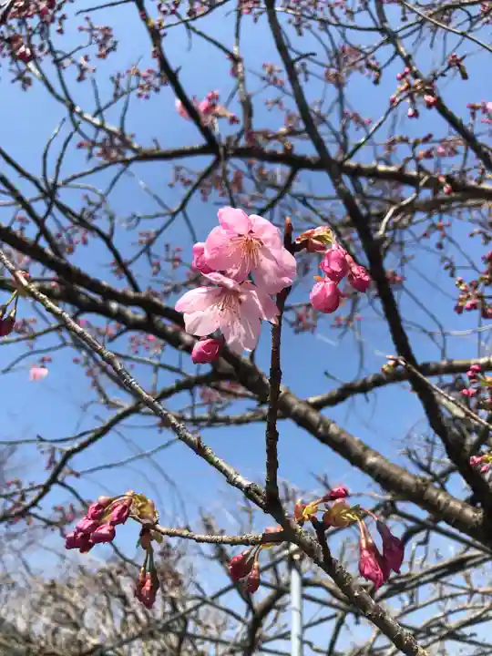 大生郷天満宮の自然
