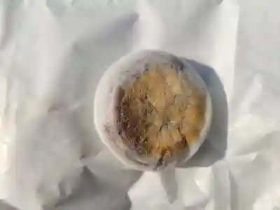 賀茂別雷神社（上賀茂神社）(京都府)