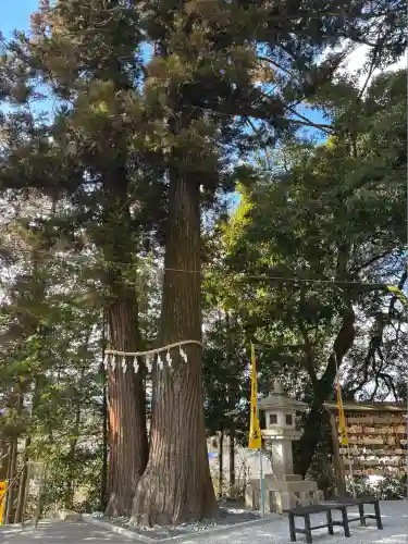 聖神社(埼玉県)