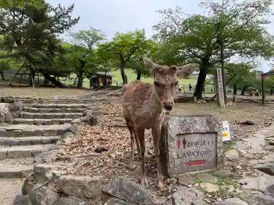 東大寺(奈良県)