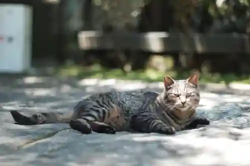 宝山寺(奈良県)