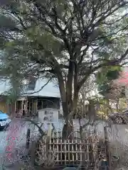 牛天神北野神社の建物その他