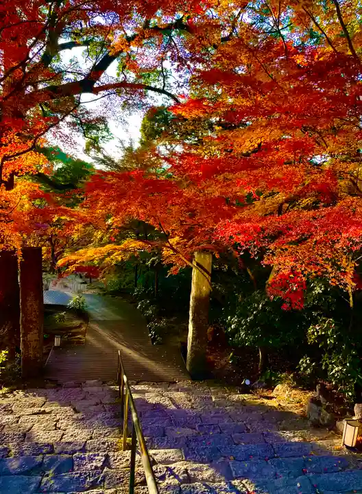宝満宮竈門神社の自然