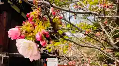 大報恩寺（千本釈迦堂）(京都府)