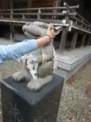 湯倉神社の狛犬