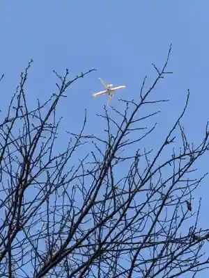 圓照寺(東京都)