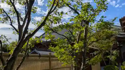 齢延寺(大阪府)