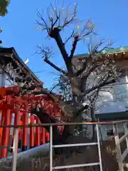 神鳥前川神社(神奈川県)