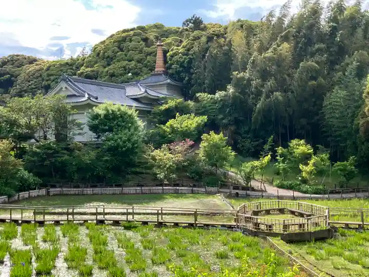 本土寺(千葉県)