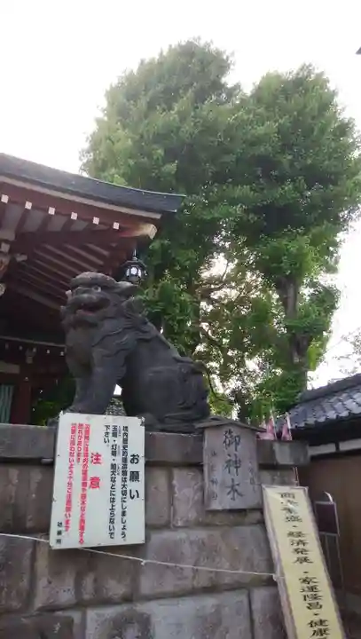 諏訪神社の狛犬