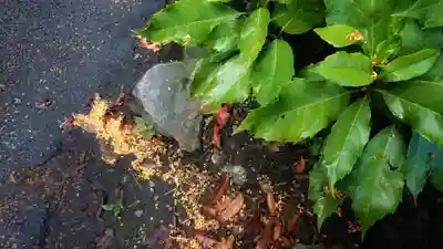 玉野御嶽神社の周辺