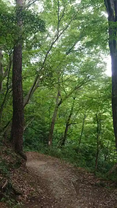 宝登山神社奥宮の周辺