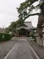 大慶寺の本殿・本堂