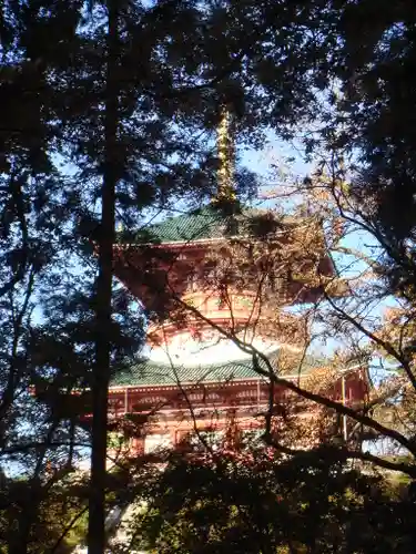 成田山新勝寺の塔