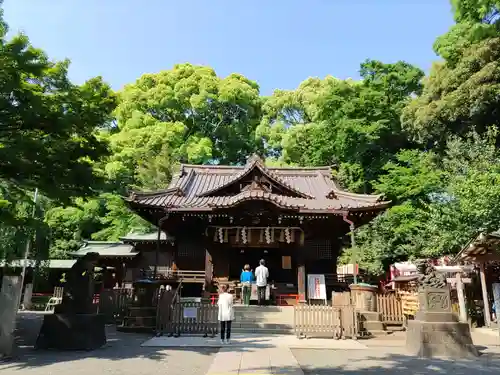 代々木八幡宮の本殿・本堂