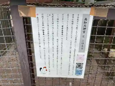高知大神宮(高知県)
