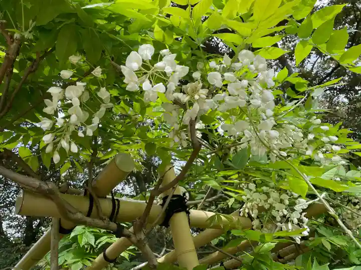 歌泉堂(春日大社神苑萬葉植物園内鎮座)(奈良県)