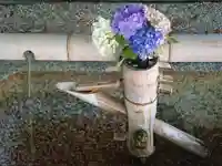 富部神社の手水舎