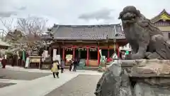 浅草神社の狛犬