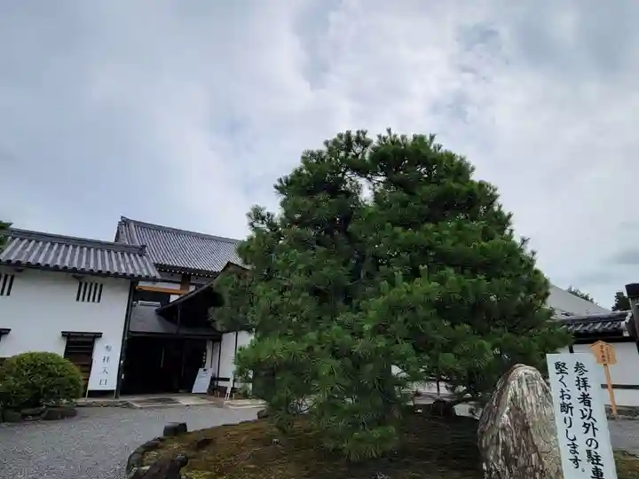 聖護院門跡のその他建物