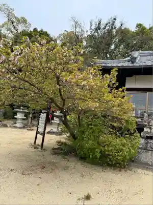 小泉神社(奈良県)