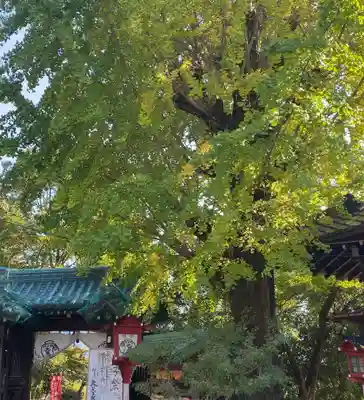 松ヶ崎大黒天 妙圓寺（妙円寺）(京都府)