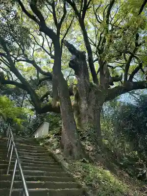 大興寺(香川県)