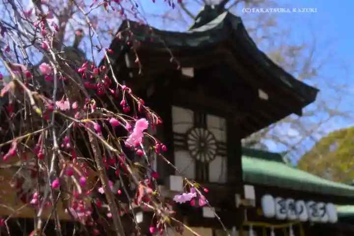 大宮八幡宮(東京都)
