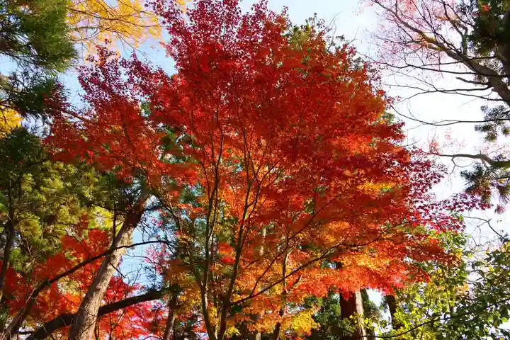 東館稲荷神社の自然