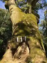 奈良豆比古神社の自然