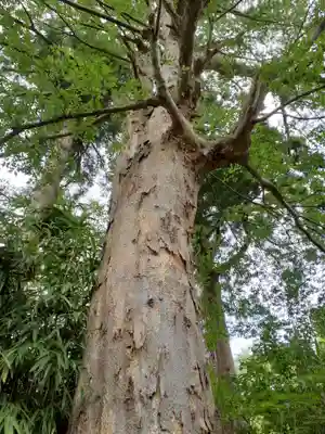 若松寺(山形県)