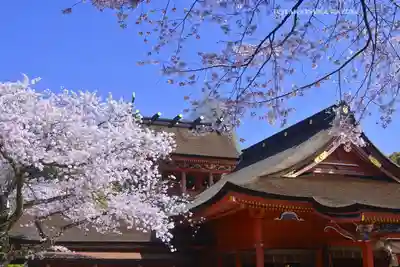 富士山本宮浅間大社のその他建物