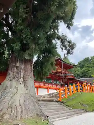 春日大社(奈良県)
