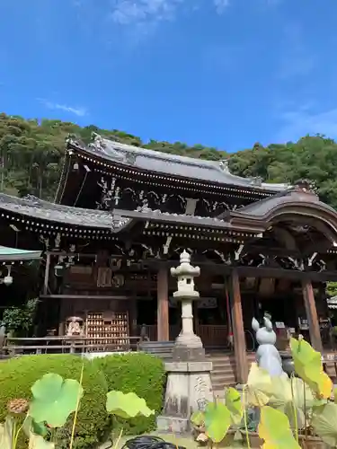 三室戸寺の本殿