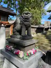 札幌諏訪神社の狛犬