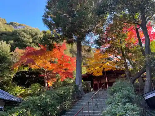 来迎院(京都府)