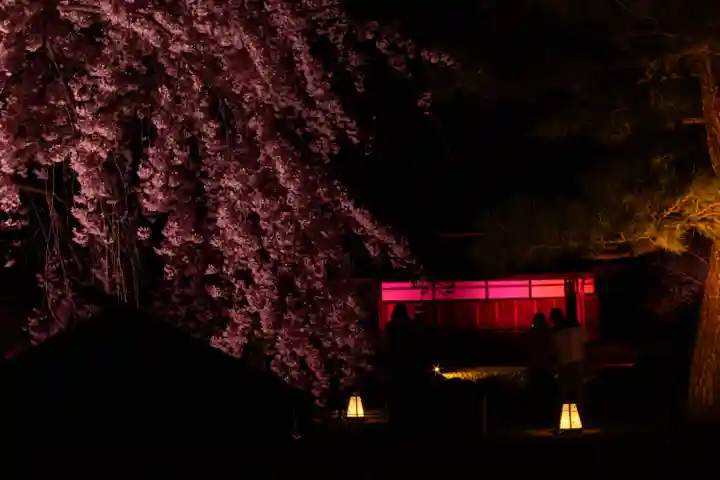 平安神宮(京都府)